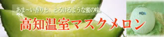 高知温室マスクメロン