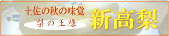 土佐のにいたかなし♪お取り寄せはこちら